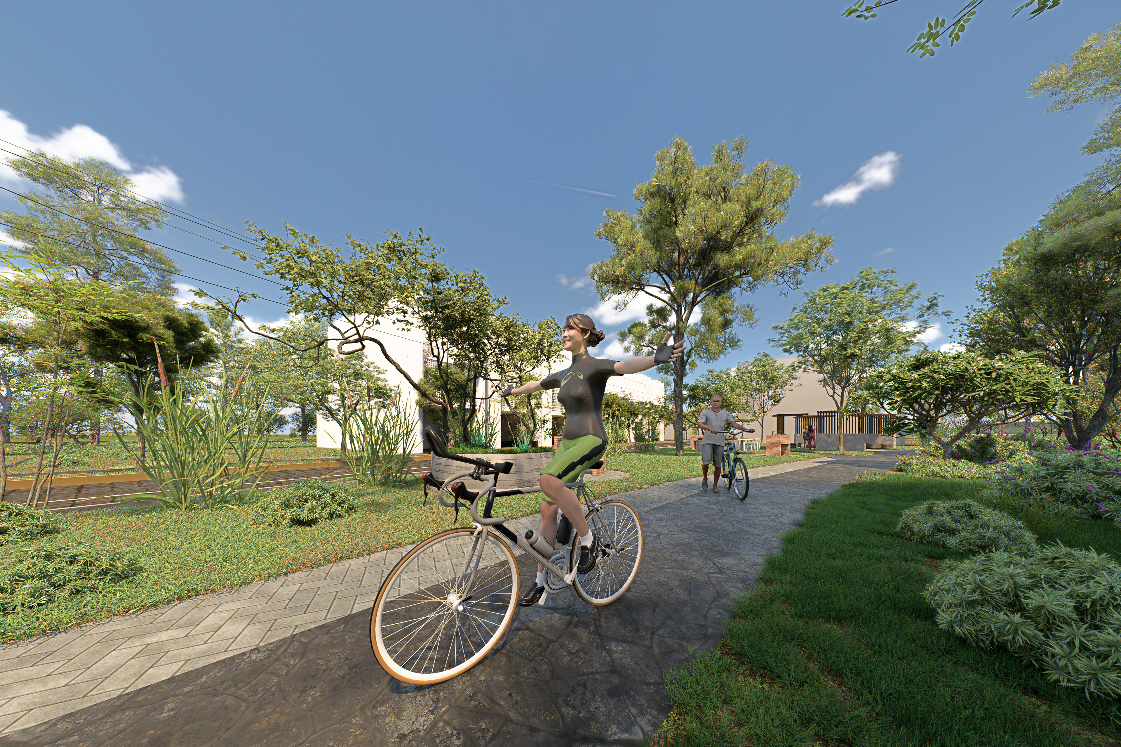 Camino Real — Studio Darkham