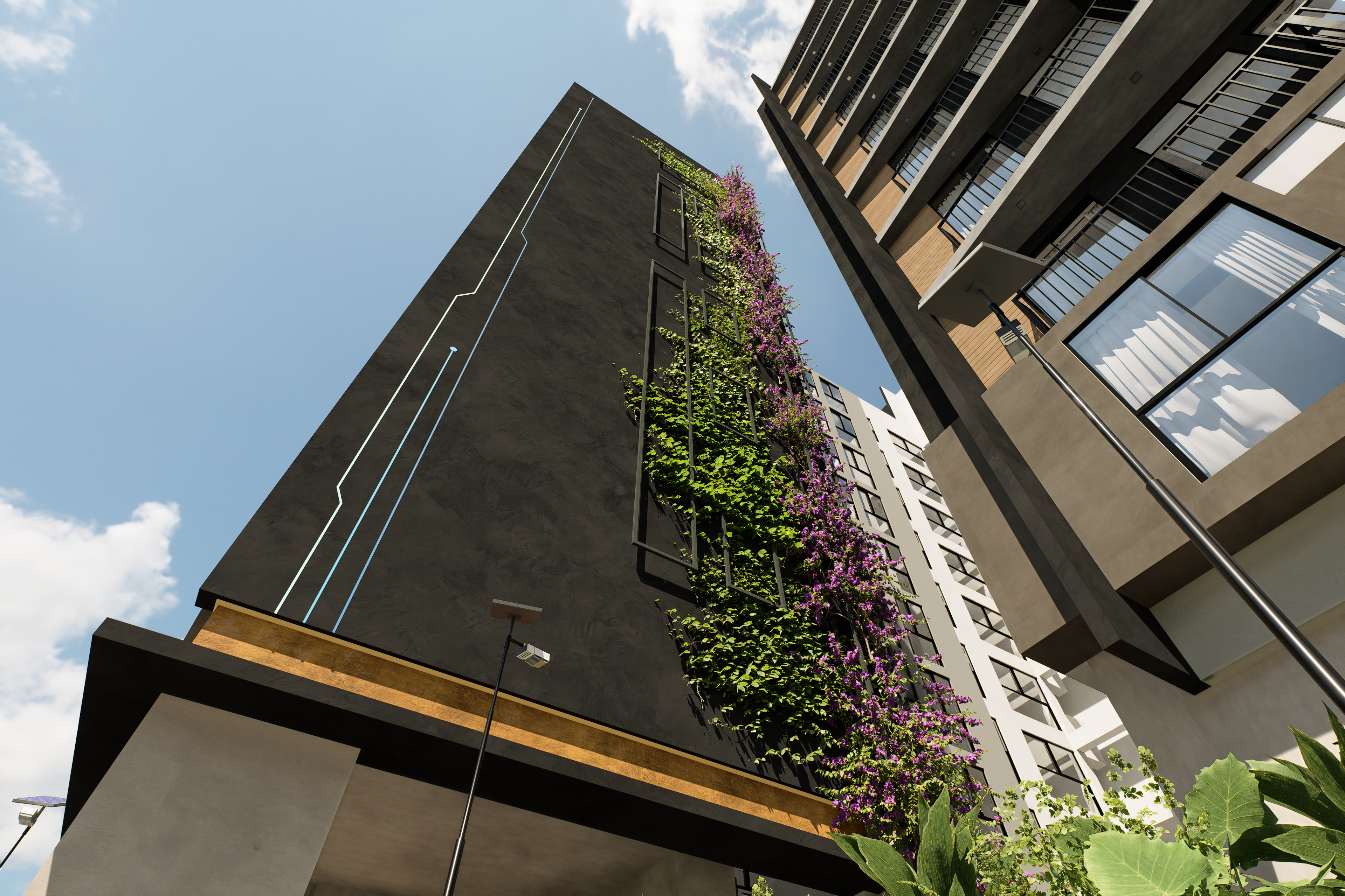 Espacio urbano de Distrito San Carlos